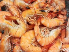 -宁波石浦豪生大酒店·自助餐厅