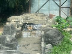 -深圳野生动物园