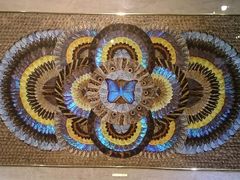 android_upload_pic-上海昆虫博物馆