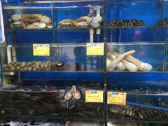 水产区-蚝专家(北滘店)