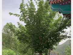 -百里山水画廊-恐龙游乐园