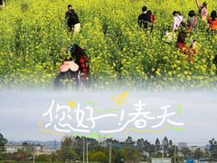 -红山村
