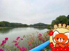 -东莞植物园