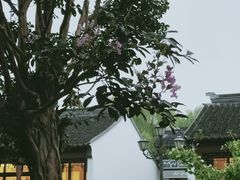 -渭塘酒家(生态园店)