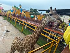 -西霞口神雕山野生动物世界