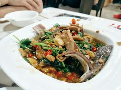 沙姜捞猪肚-常兴记广东小厨(浦东路店)