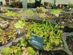 -国家植物园南园