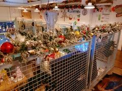 二层大厅-Kitchen·Y洋厨房西餐厅(王府壹号店)