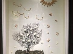 -青岛贝壳博物馆