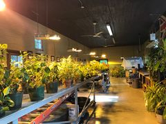 -卡萨罗马城堡