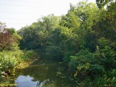 -昆山城市生态森林公园