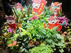 -鼎膳常火锅(华阳店)