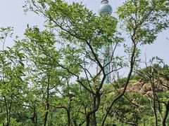 -青岛中山公园-索道售票处