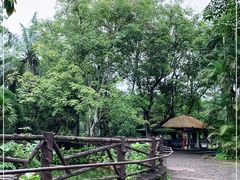 -海南热带野生动植物园