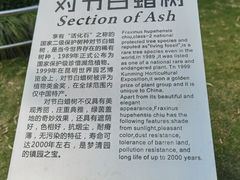 -苏州河梦清园环保主题公园