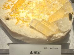 -湖南省地质博物馆