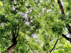 -北京大学百年讲堂