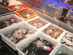 -长平肥姐白粥·海鲜打冷