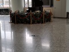 -郑州大学第一附属医院(河医院区)