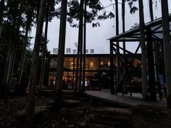 -桉树林A coffee 森林餐厅(三圣乡店)