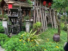 -青城甲(青城山店)