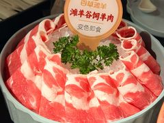 -百草滩羊·清水涮羊肉(长城路店)