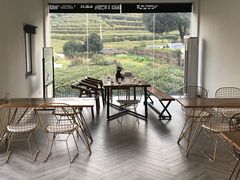 -龙坞茶村