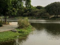 -东莞植物园