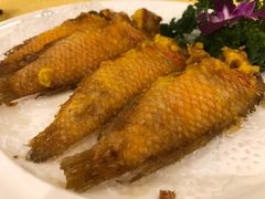 -潮人姐妹轩(海宁路店)