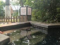 -海兰云天度假区温泉