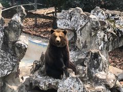 -成都动物园