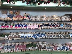 -济州岛泰迪熊博物馆