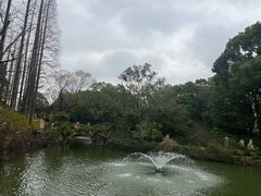 -上海醉白池公园