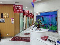 -雅悦齿科(顾村公园店)