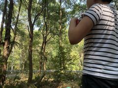 -青龙山国家森林公园