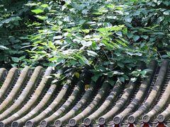 -香山公园