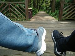-同里国家湿地公园
