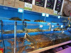 水产区-黄寺蒸汽海鲜(黄寺大街店)