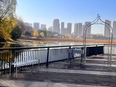 -月湖风景区