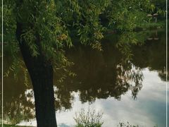 -玉泉威虎山森林公园
