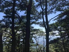 -罗田薄刀峰风景区