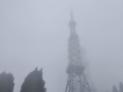 -武陵山森林公园