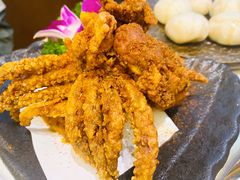 炸鱿鱼-千寻山野烤肉(中关村店)