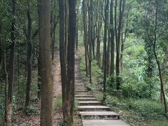 -广州市帽峰山景区
