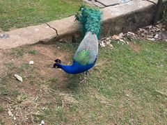 -昆明动物园