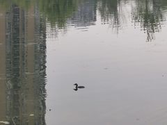 -北湖公园
