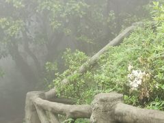 -梧桐山风景名胜区