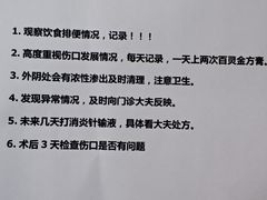 -康乐宝动物医院