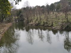 -太阳岛旅游度假区