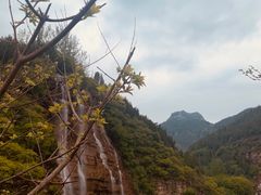 -黄花溪